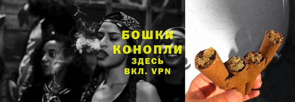 крисы Беломорск